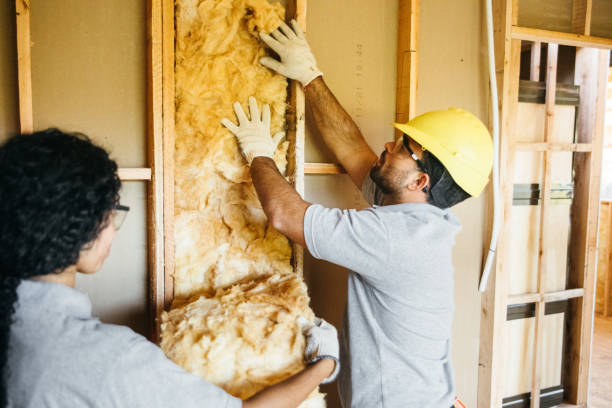 Professional Insulation Contractor in Mint Hill, NC