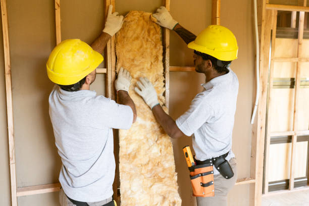 Best Energy-efficient Insulation  in Mint Hill, NC
