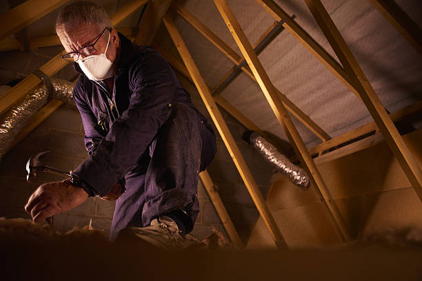 Best Home Insulation Services  in Mint Hill, NC